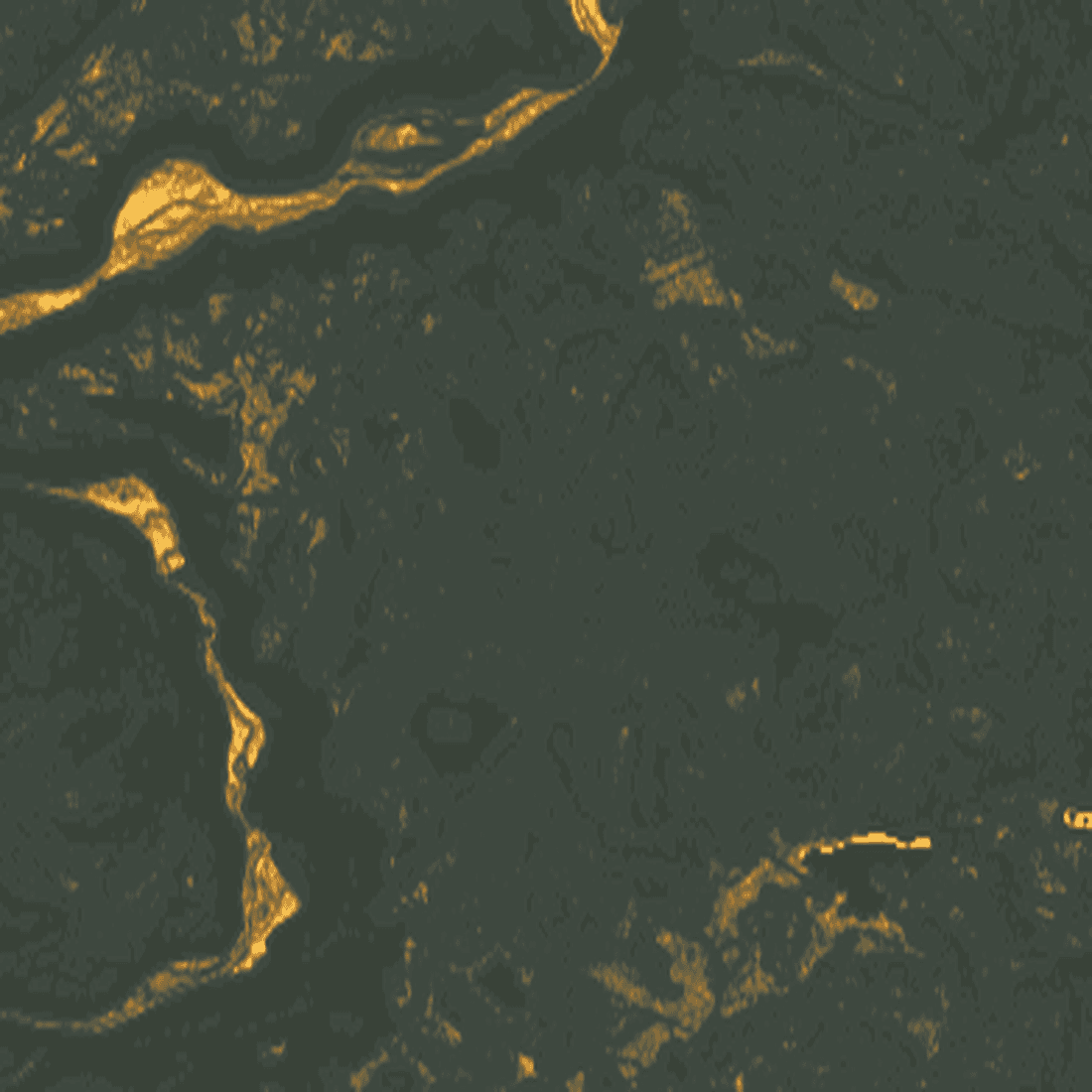 The same forest with terrain derived at one metre: fine gold threads trace damp north-facing ground along the ravine.